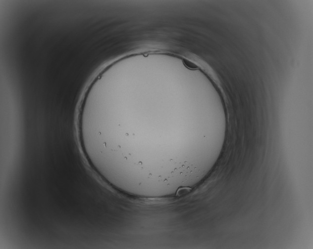 X0000100481488200807111051