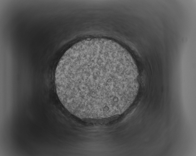 X0000100481494200807111050