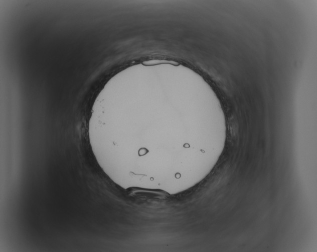 X0000100481495200807111050