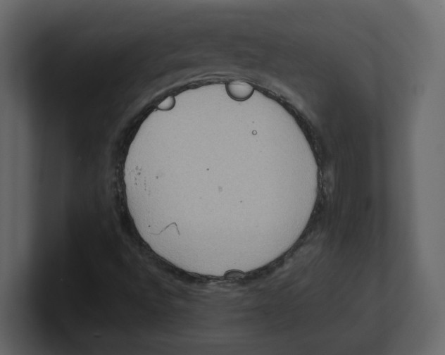 X0000100481496200807111050