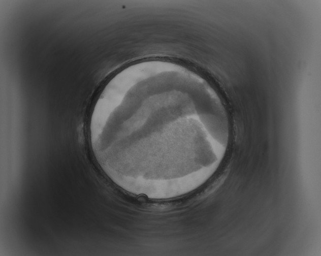 X0000100481497200807111050