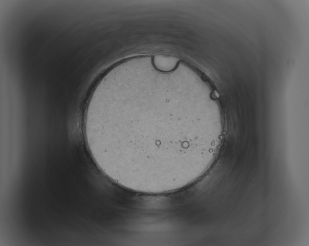 X0000100481498200807111050