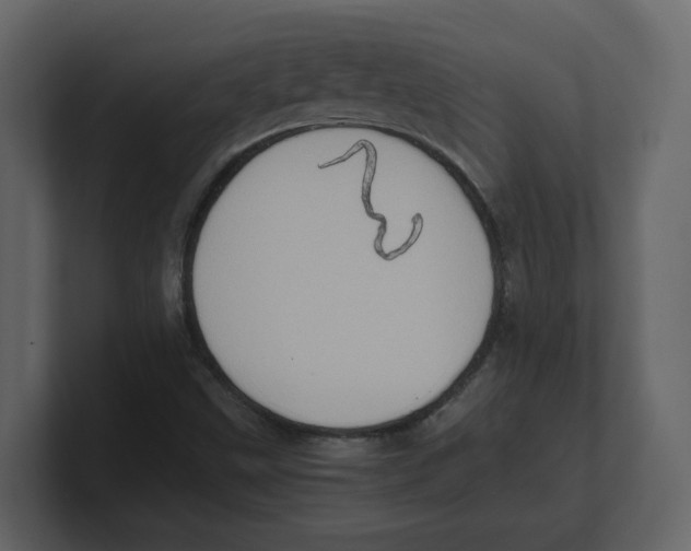 X0000100481499200807111050