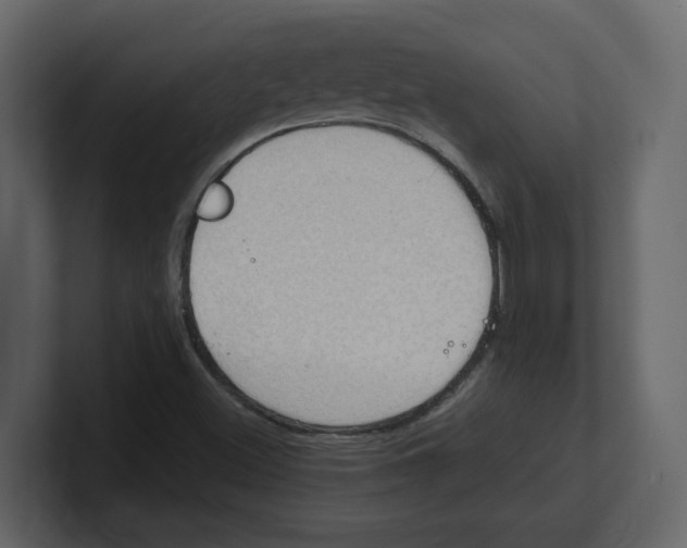 X0000100481500200807111050