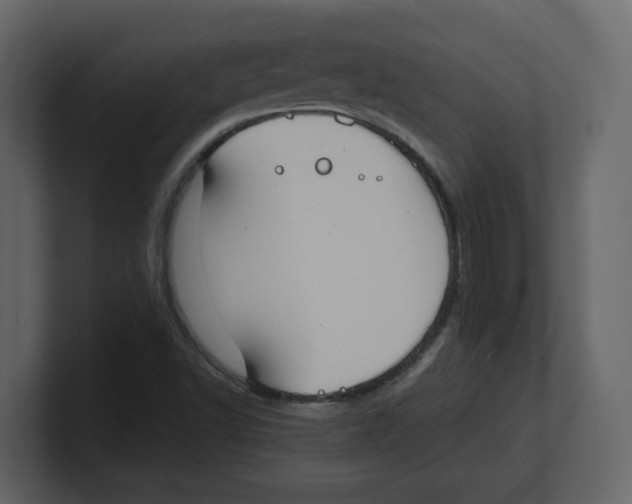 X0000100481502200807111051