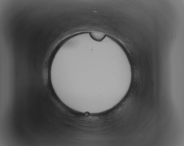 X0000100481503200807111051