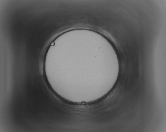 X0000100481504200807111051