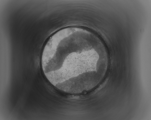 X0000100481505200807111051