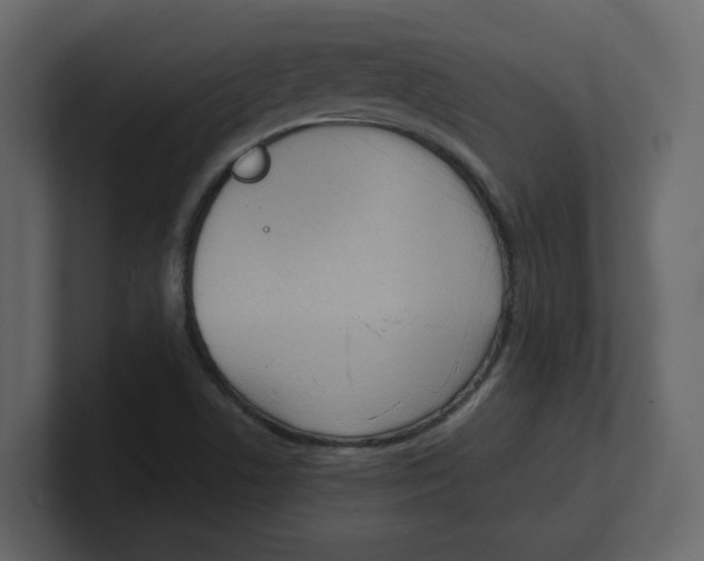 X0000100481506200807111051