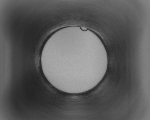 X0000100481507200807111051