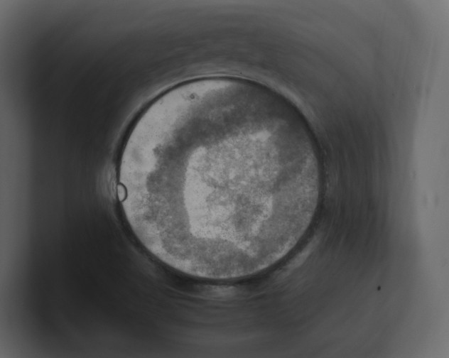 X0000100481509200807111051