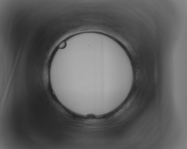 X0000100481510200807111051