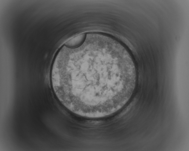 X0000100481513200807111051