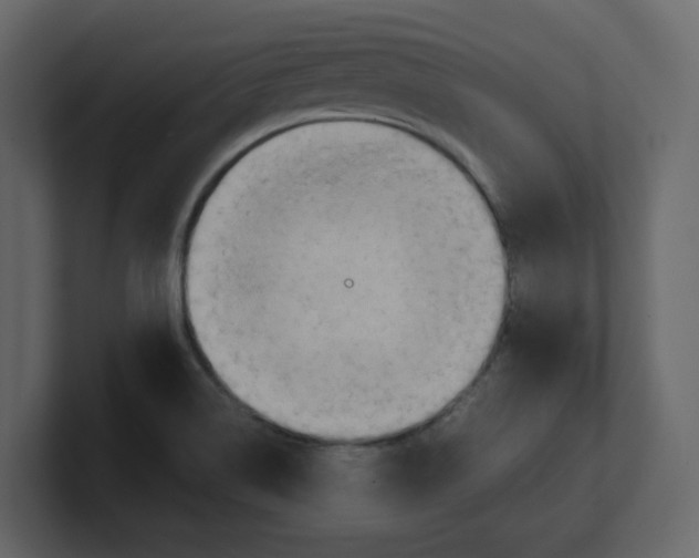 X0000100481514200807111051