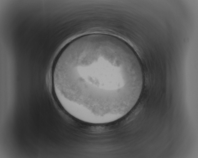 X0000100481515200807111051