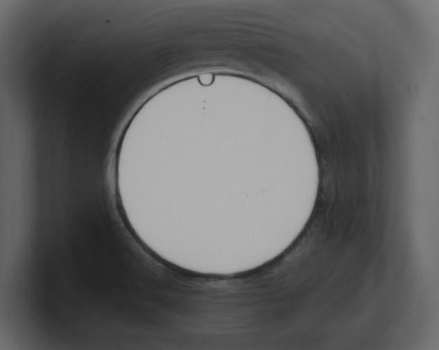 X0000100481516200807111051