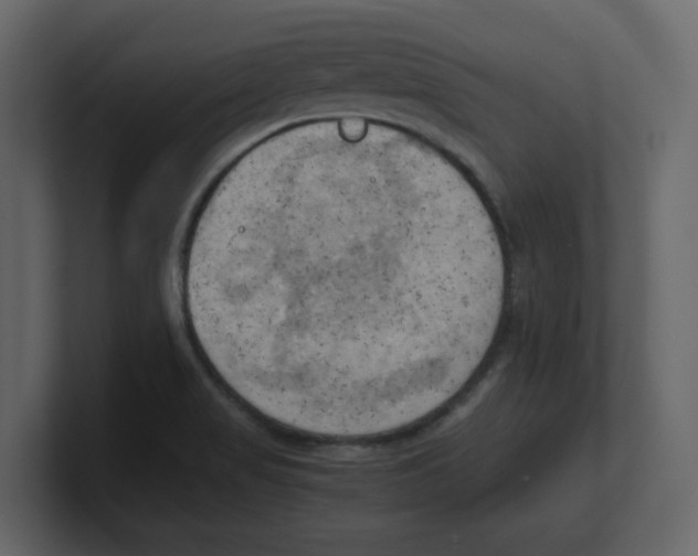 X0000100481517200807111051