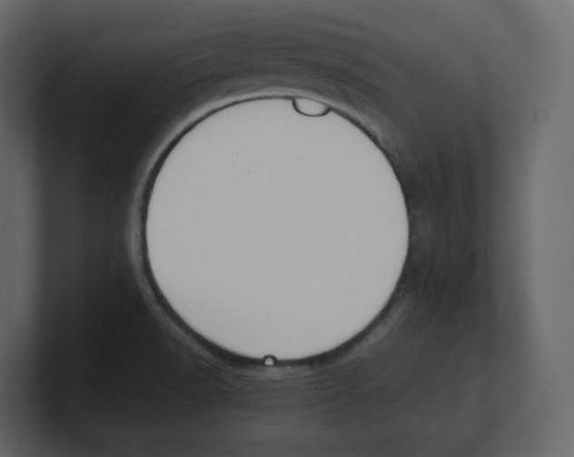 X0000100481518200807111051