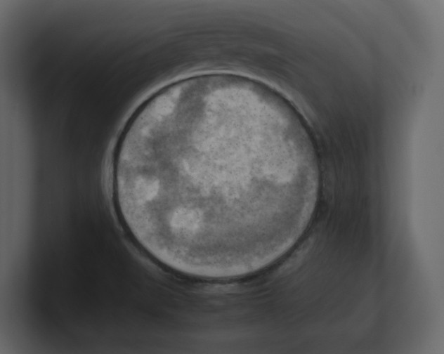 X0000100481519200807111051