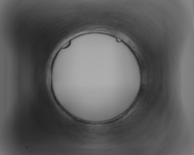 X0000100481520200807111051