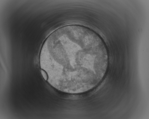 X0000100481521200807111051