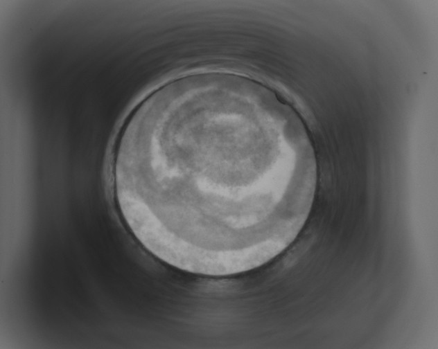 X0000100481522200807111051