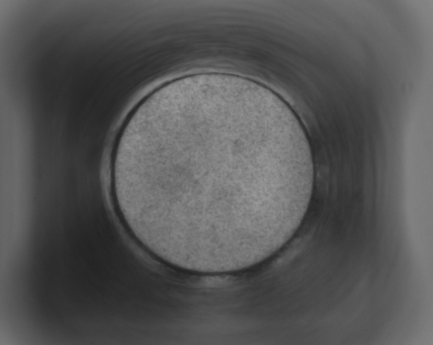 X0000100481523200807111051