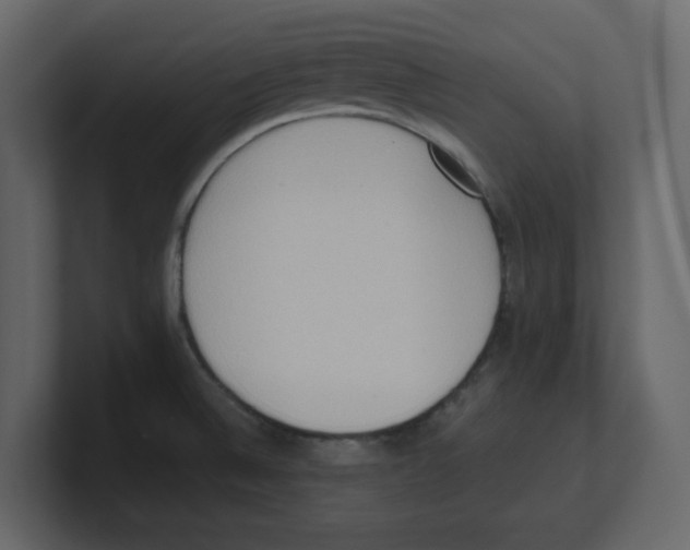 X0000100481524200807111051