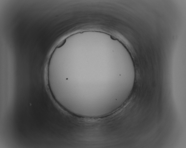 X0000100481528200807111051