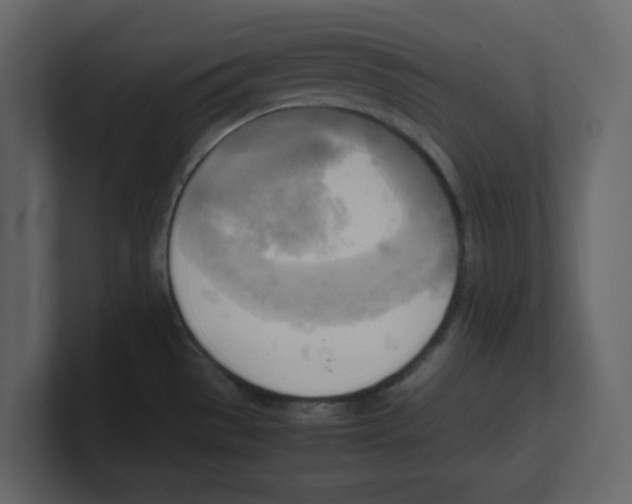 X0000100481529200807111051