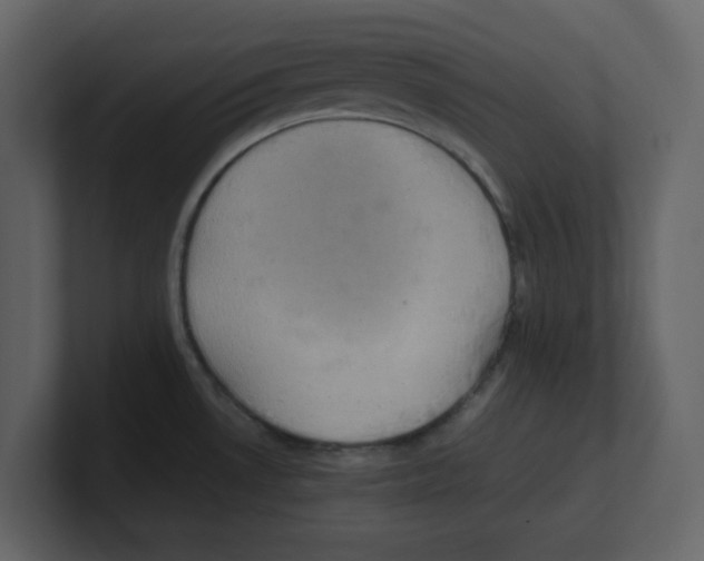 X0000100481530200807111051