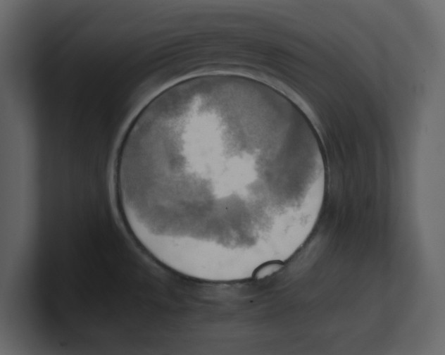 X0000100481533200807111051