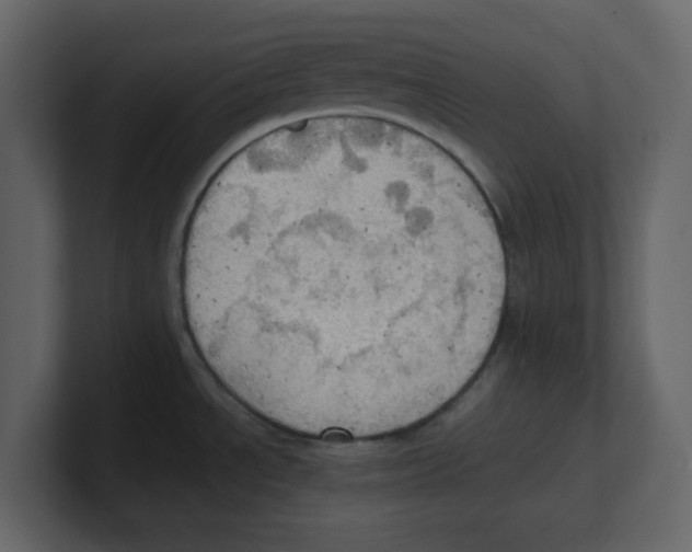 X0000100481534200807111051