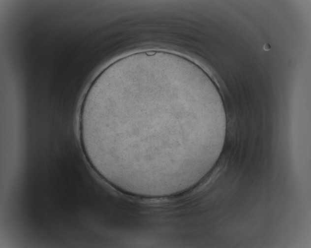 X0000100481535200807111051