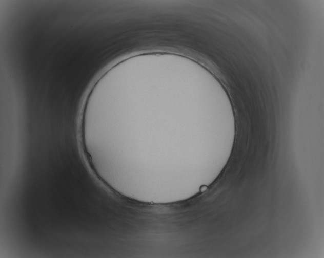 X0000100481536200807111051