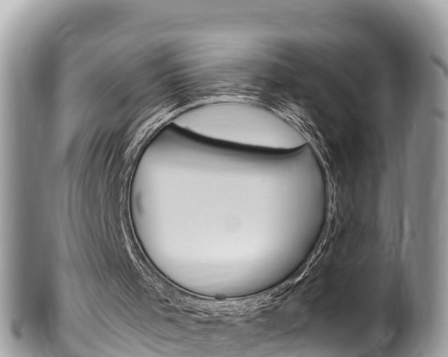 X0000100490001200806130806