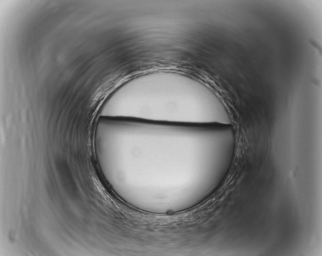 X0000100490002200806130806