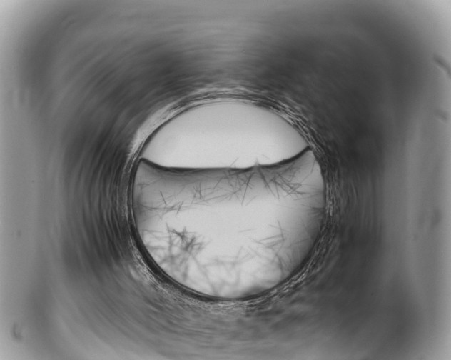 X0000100490004200806130806