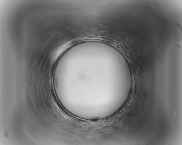 X0000100490005200806130806