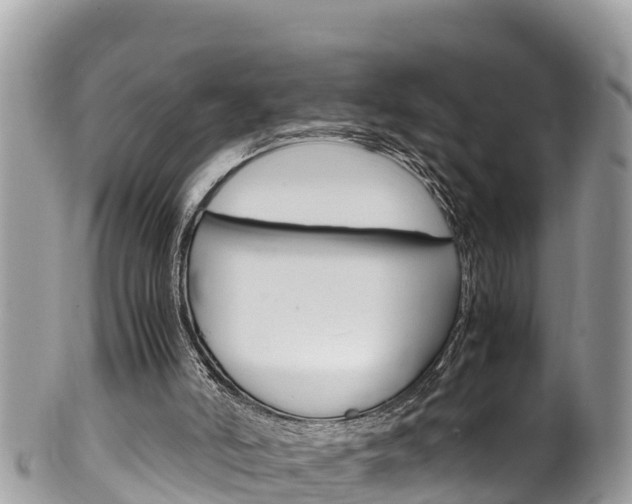 X0000100490006200806130806
