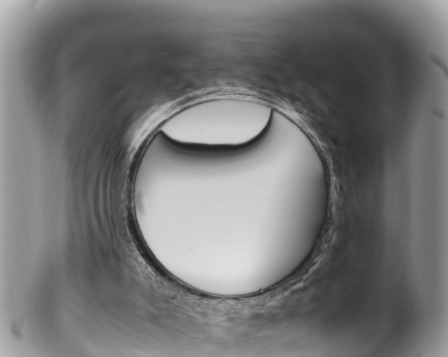 X0000100490007200806130806