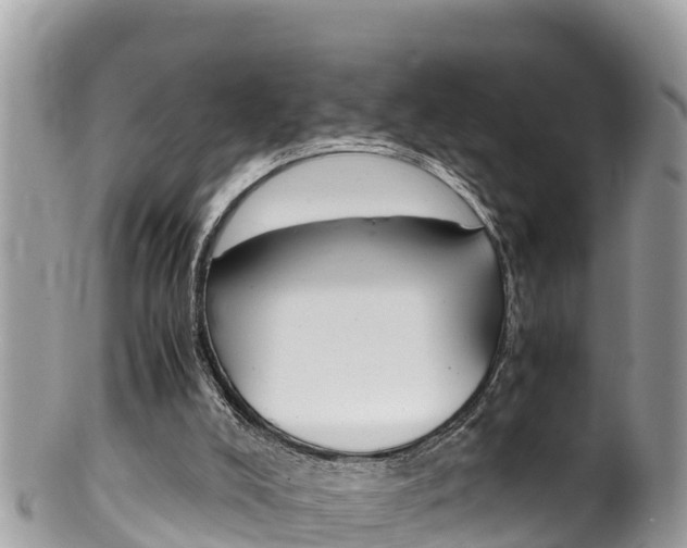 X0000100490008200806130806