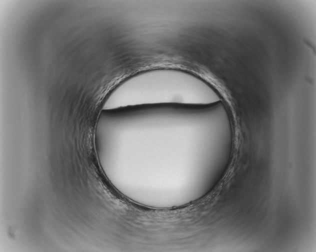 X0000100490009200806130806