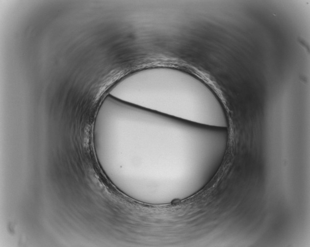X0000100490010200806130806