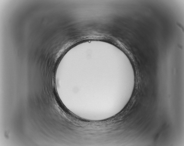 X0000100490011200806130806