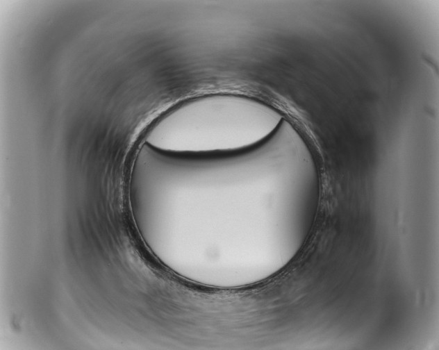 X0000100490012200806130806