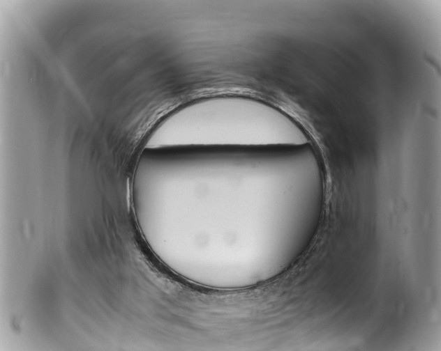 X0000100490013200806130806