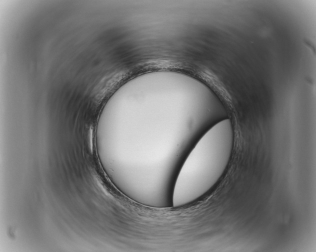 X0000100490014200806130806