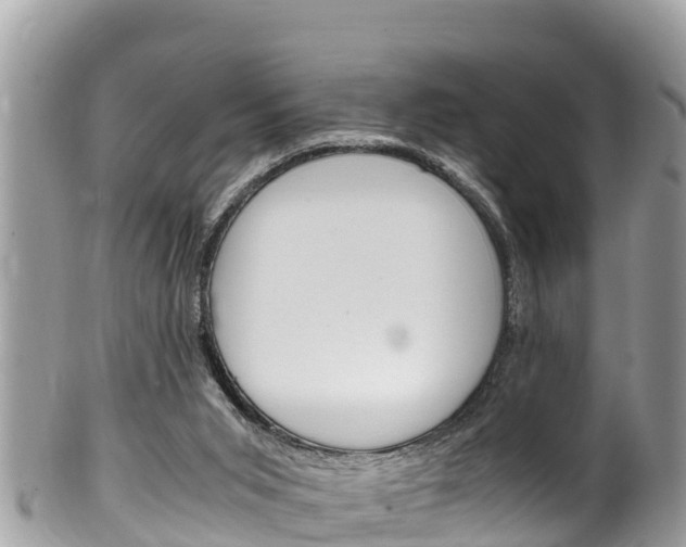 X0000100490015200806130806