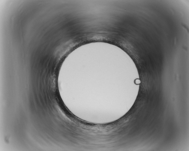 X0000100490016200806130806